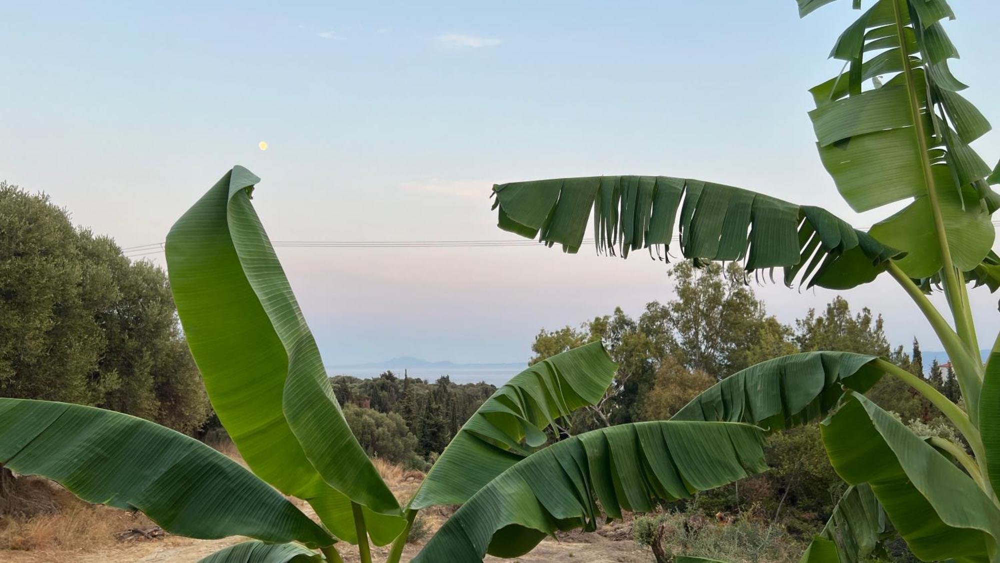 Holiday home Mediterranean Ratzakli *